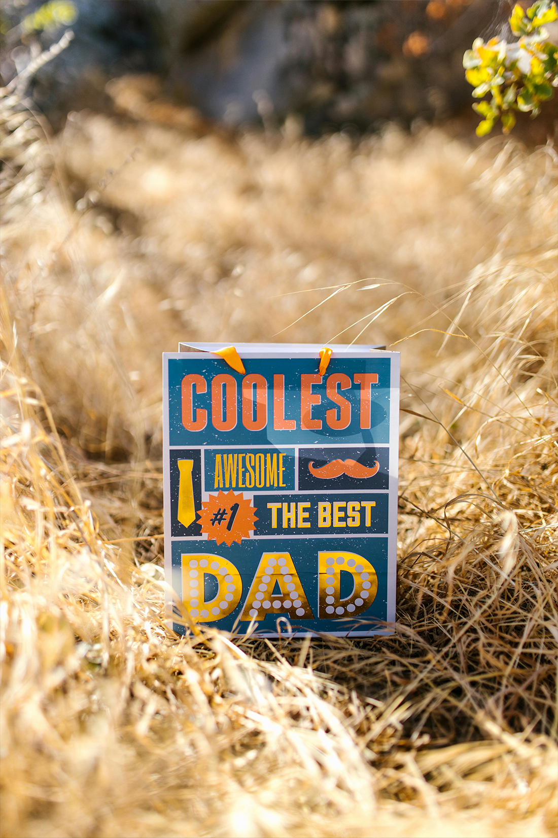 Father's Day Gifts 2026: 10 Unique Ideas for the Sober Dad