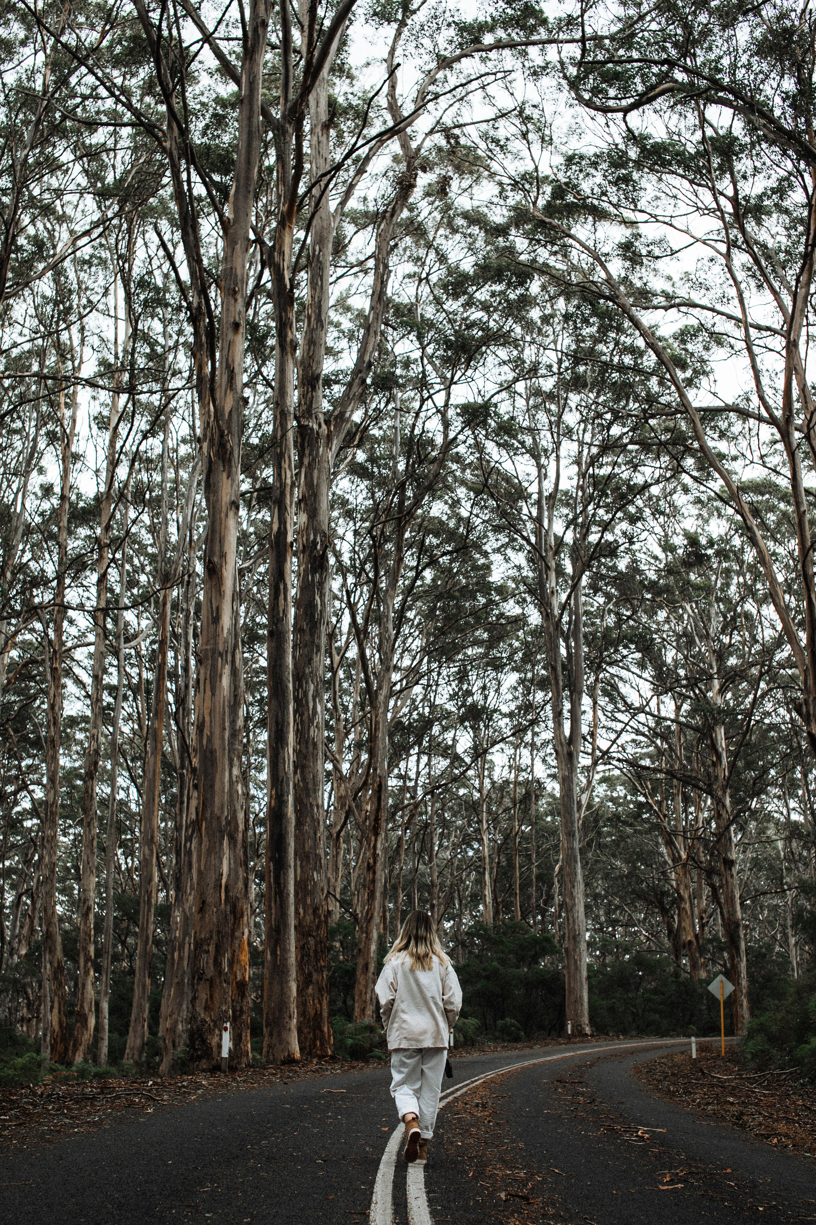 Nonalcoholic Spirits - Zero Proof - Mocktail - Mindful Drinking - Tips - Revisit