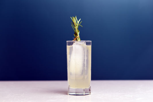 Rosemary Gin Fizz