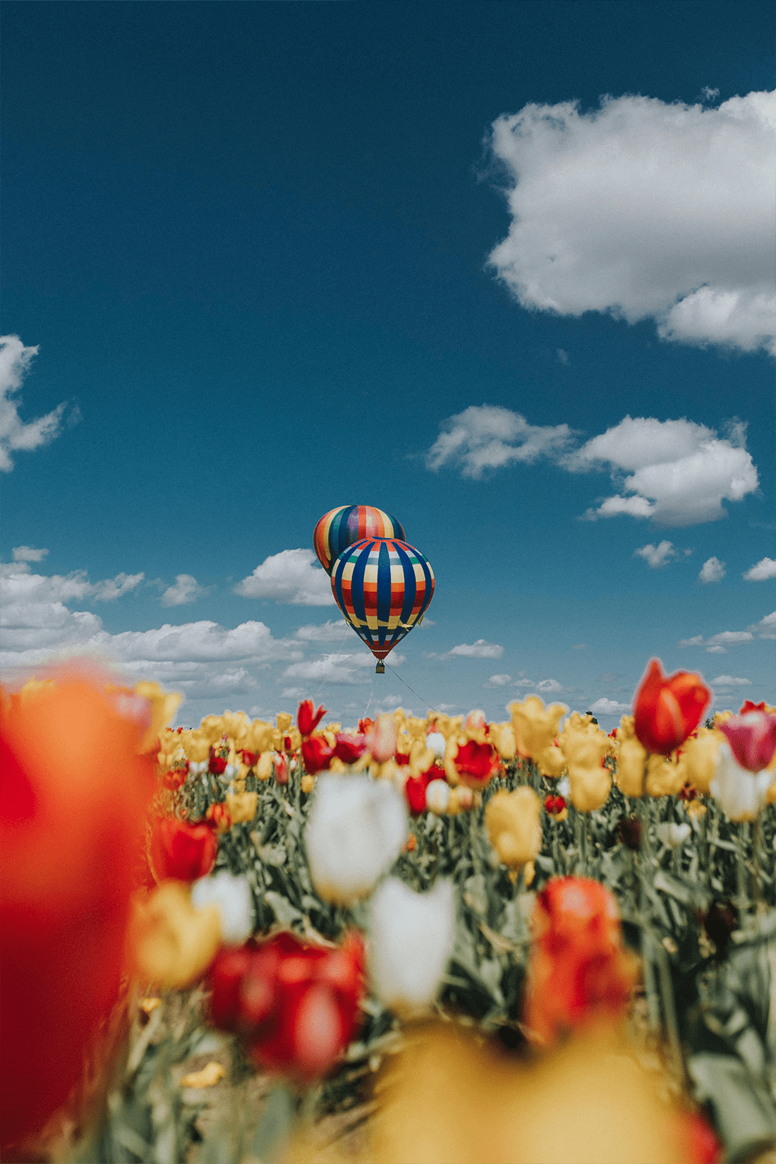 Spring Reset: Why This Season Inspires Lifestyle Changes