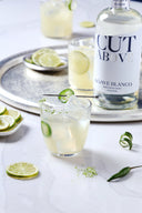 Zero Proof Agave Blanco Tequila